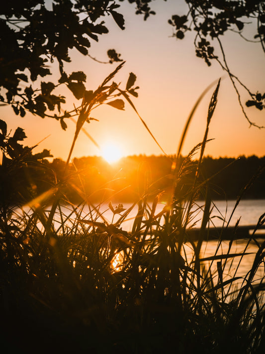 The sun is setting over a body of water