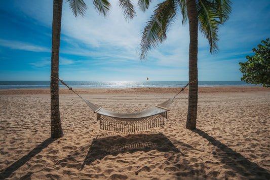 A hammock on a beach with palm trees