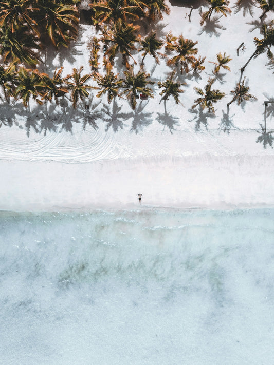 an aerial view of a beach with palm trees